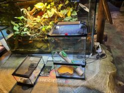 -酷嗒动物文化乐园(cutezoo西溪乐天城店)