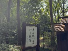 -兰亭风景区