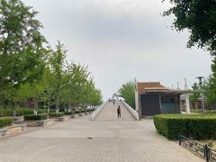 -大兴滨河森林公园