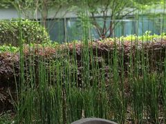 -梅花境(万科店)