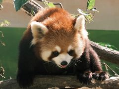 -杭州少年儿童公园