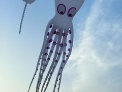 -天津东疆湾沙滩景区