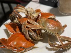 -金马门国际美食百汇(珞喻路店)