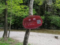 -牛背梁国家森林公园
