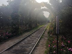 -永定河休闲森林公园