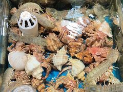 -旺角小渔村(幸福中路店)