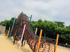 -东方绿舟景区