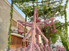 -洋湖国家湿地公园