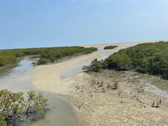-北海金海湾红树林生态旅游区