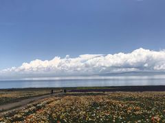 -青海湖国家重点风景名胜区