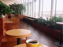 -Seesaw Coffee(朝阳大悦城店)