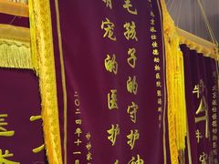 -北京派仕佳德动物医院·超导核磁·CT·神经科·骨科·内外科·急重症管理中心