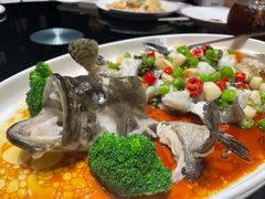 -富淳饭店(陆家嘴保利广场店)