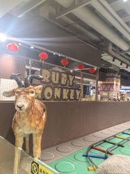 -鲁比猴非洲探索部落(喜盈门店)