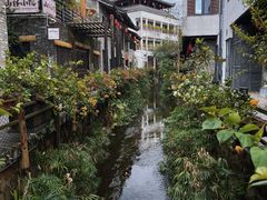 -鹅滋道(甘坑古镇店)