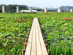 -光明小镇欢乐田园