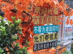 -后湖小院·乡野田园菜