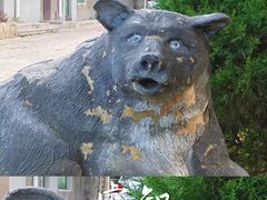 -大连森林动物园