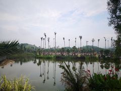 -枫香湖儿童公园