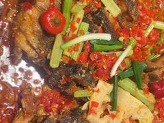 -老板恋上鱼(恒隆广场店)