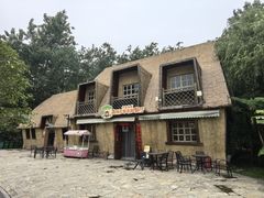 -合肥滨湖国家森林公园