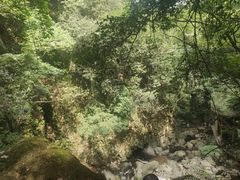 -藏龙百瀑风景区