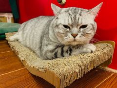-H立方实景剧情密室(天河旗舰店)