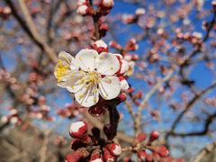-鹫峰国家森林公园
