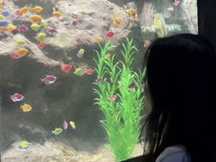 -苏州海洋馆
