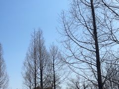-阳澄湖半岛旅游度假区