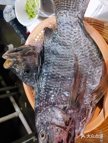 【狂野伙食️☞火焰鱼】