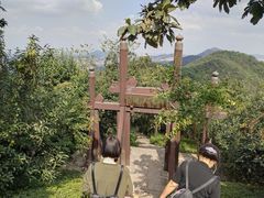 -杭州半山国家森林公园