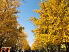 -辽宁大学(崇山校区)