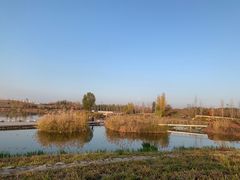 -永定河休闲森林公园