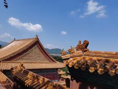 -颐和园