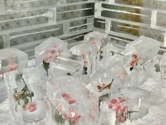 -苏州湾梦幻水世界