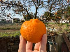 -饶品富牛魔王辣味烧菜馆(船山路总店)