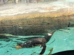 -波塞冬海底世界