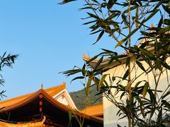 -深圳仙湖植物园