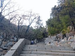 -泰山风景名胜区