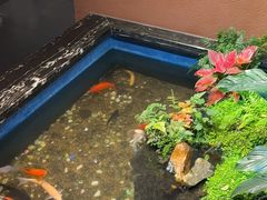 -隐炉和牛烧肉店(群力店)