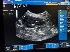 -欧奕国际动物医院