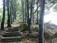 景点-火炉山森林公园