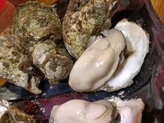 -烧蠔帮·生蚝海鲜牌档(观海店)