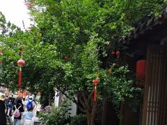 -鲤院·新中式美学·庭院餐厅(夫子庙店)