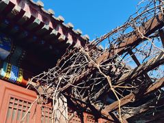 -北京石刻艺术博物馆(五塔寺)