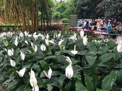 -晓港公园