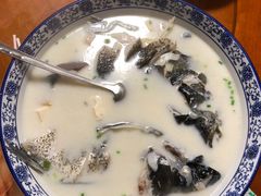 -全乐鱼馆·淳牌有机鱼直营店