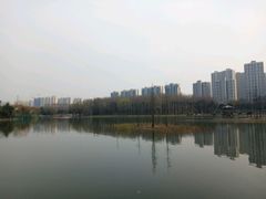 -昆山城市生态森林公园