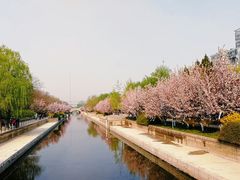 景点-海棠花溪(元大都城垣遗址公园)